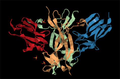CRYSTAL STRUCTURE OF TRKB-D5 BOUND TO NEUROTROPHIN-4/5