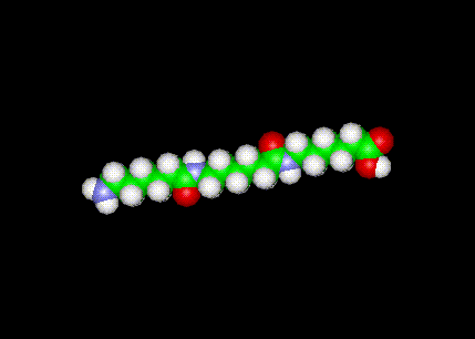 Nylon Molecular Structure -- Nylon Molecule 